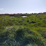 Du Marais A 2km De Marennes, D'hotes Au Bord Du Canal, Proche Plages Et Velodyssee * Saint-Just-Luzac