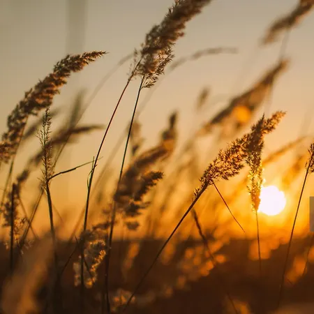 Panzió Du Marais, D'hotes Pour Pause Nature Au Bord De Notre Canal, A 2km De Marennes Sur Le Trace De La Velodyssee Saint-Just-Luzac