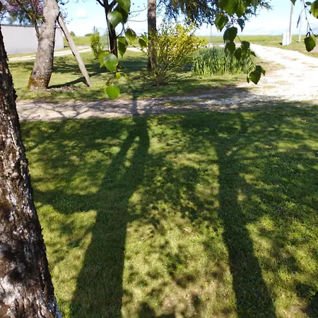 Du Marais A 2km De Marennes, D'hotes Au Bord Du Canal, Proche Plages Et Velodyssee Bed & Breakfast Saint-Just-Luzac