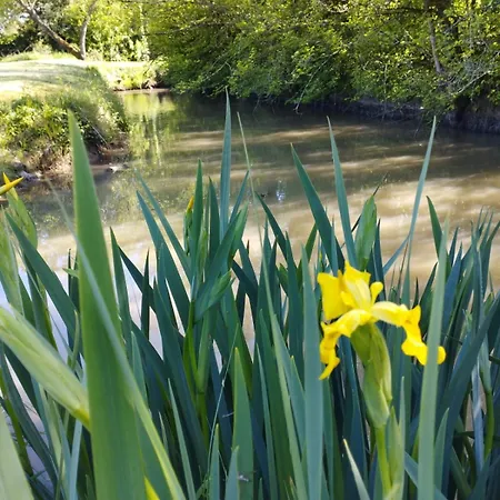 Du Marais, D'hotes Pour Pause Nature Au Bord De Notre Canal, A 2km De Marennes Sur Le Trace De La Velodyssee *