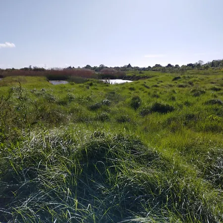 Du Marais A 2km De Marennes, D'hotes Au Bord Du Canal, Proche Plages Et Velodyssee * Saint-Just-Luzac