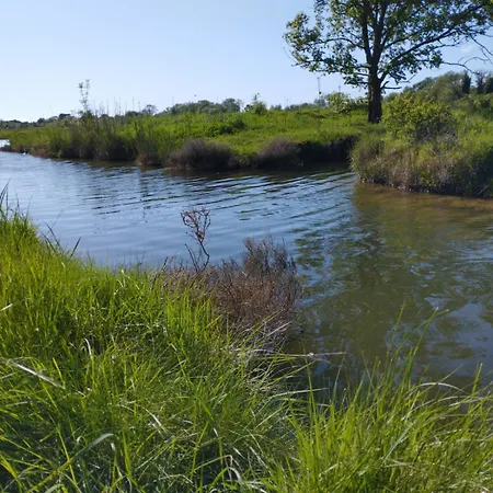 Du Marais, D'hotes Pour Pause Nature Au Bord De Notre Canal, A 2km De Marennes Sur Le Trace De La Velodyssee *