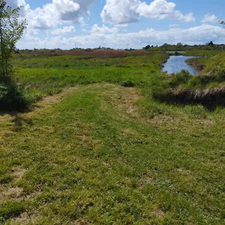 Du Marais A 2km De Marennes, D'hotes Au Bord Du Canal, Proche Plages Et Velodyssee Saint-Just-Luzac