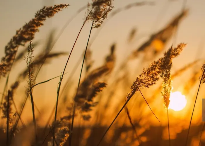 Bed & Breakfast Du Marais A 2km De Marennes, D'hotes Au Bord Du Canal, Proche Plages Et Velodyssee Saint-Just-Luzac